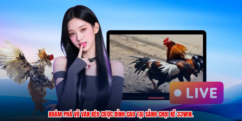 Khám phá vô vàn kèo cược đỉnh cao tại sảnh chọi kê 33Win.