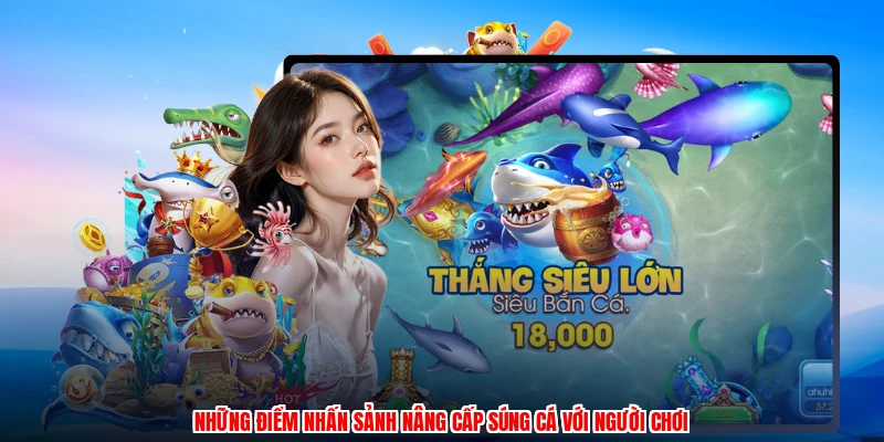 Những điểm nhấn sảnh nâng cấp súng cá với người chơi