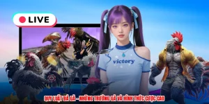 Quy Luật Đá Gà - Những Trường Gà Và Hình Thức Cược Cao