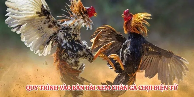 Quy trình vào bàn bài xem chân gà chọi điện tử