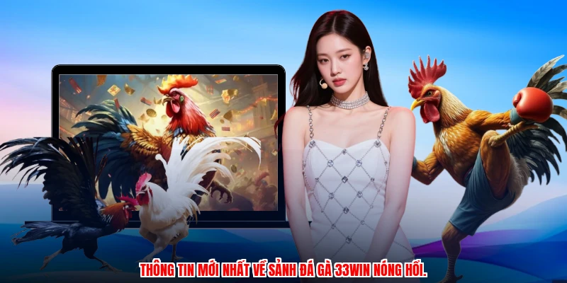 Thông tin mới nhất về sảnh đá gà 33Win nóng hổi.