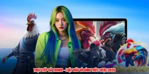 Trực Tiếp Gà Thomo - Luật Đấu Và Hình Thức Cược 2026