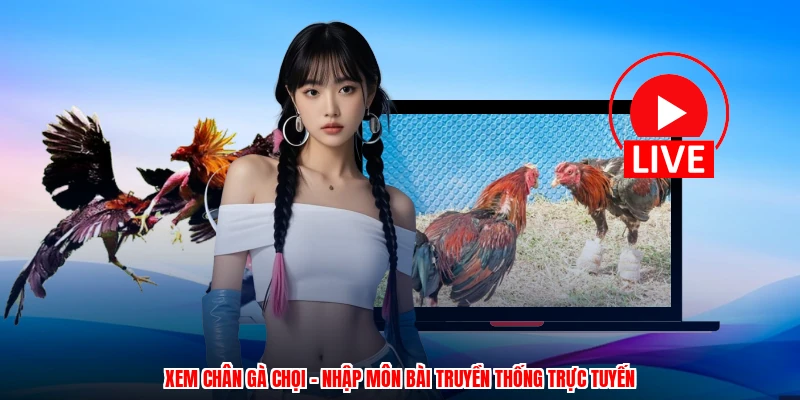 Xem Chân Gà Chọi - Nhập Môn Bài Truyền Thống Trực Tuyến